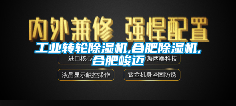 工业转轮香蕉福利视频机,合肥香蕉福利视频机,合肥峻迈