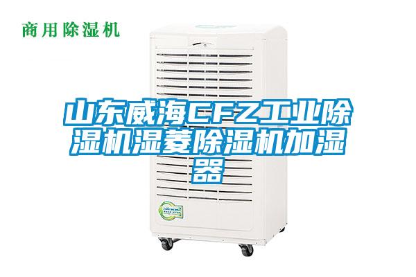 山东威海CFZ工业香蕉福利视频机湿菱香蕉福利视频机加湿器