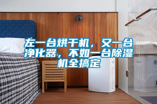 左一台烘干机，又一台净化器，不如一台香蕉福利视频机全搞定
