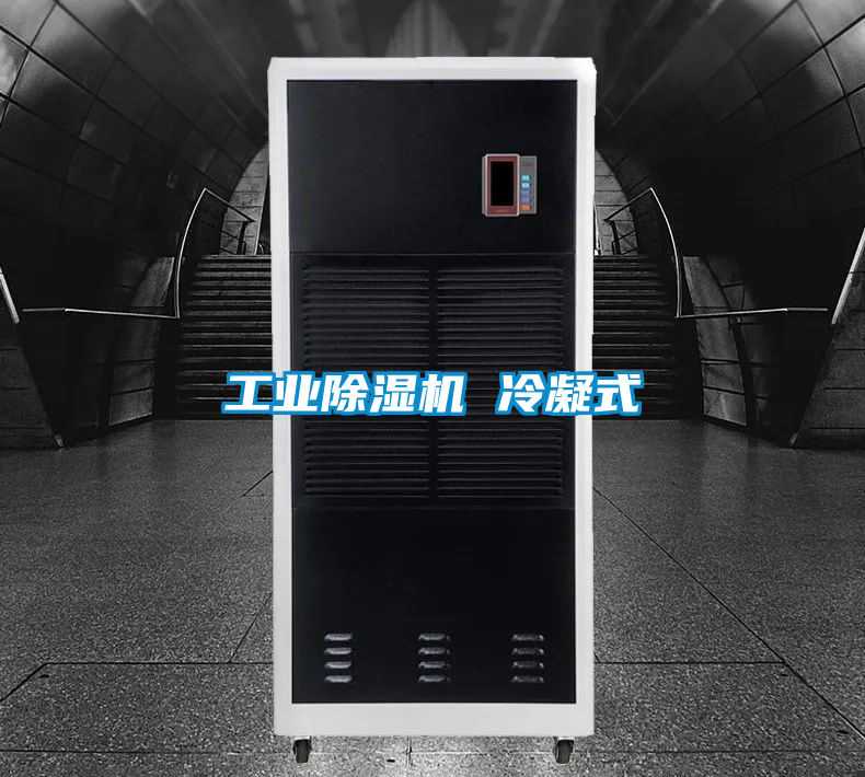 工业香蕉福利视频机 冷凝式
