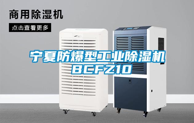 宁夏防爆型工业香蕉福利视频机 BCFZ10