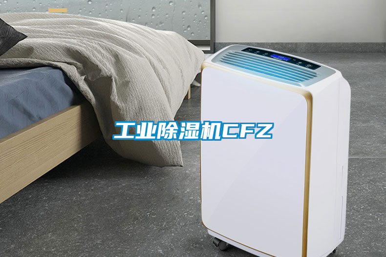 工业香蕉福利视频机CFZ
