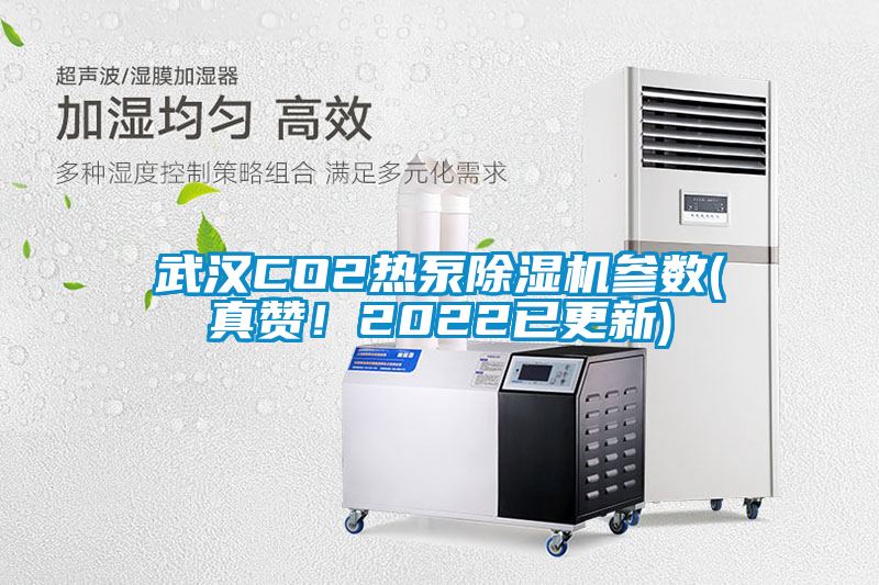 武汉CO2热泵香蕉福利视频机参数(真赞！2022已更新)