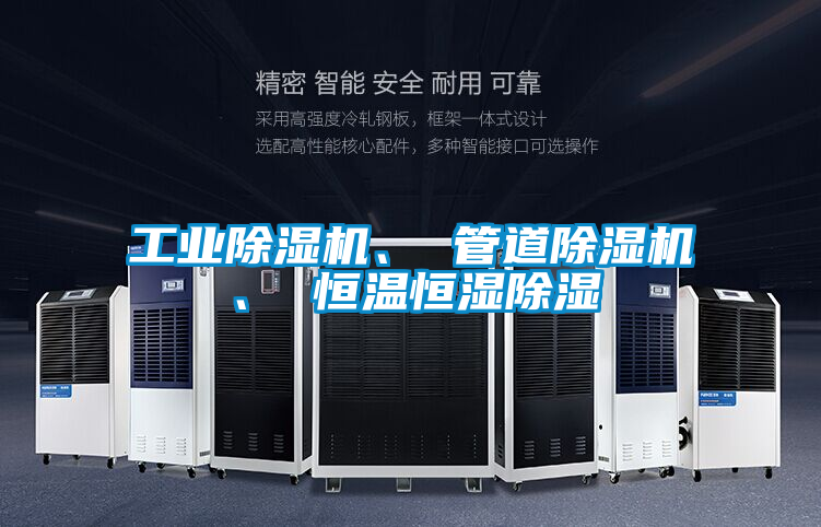 工业香蕉福利视频机、 管道香蕉福利视频机、 恒温恒湿香蕉福利视频