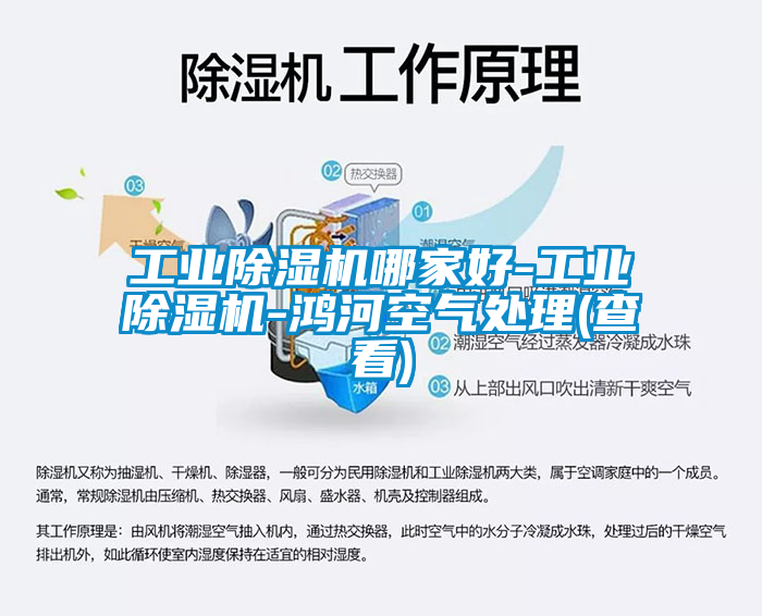 工业香蕉福利视频机哪家好-工业香蕉福利视频机-鸿河空气处理(查看)