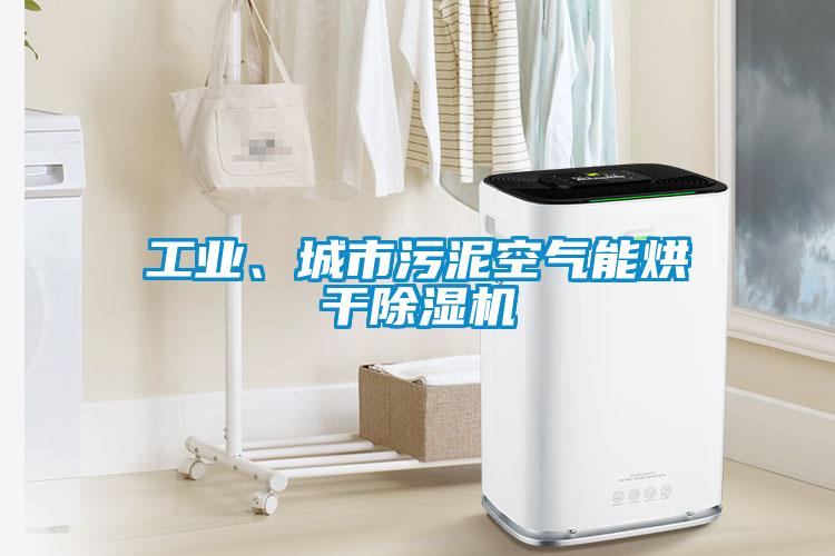 工业、城市污泥空气能烘干香蕉福利视频机