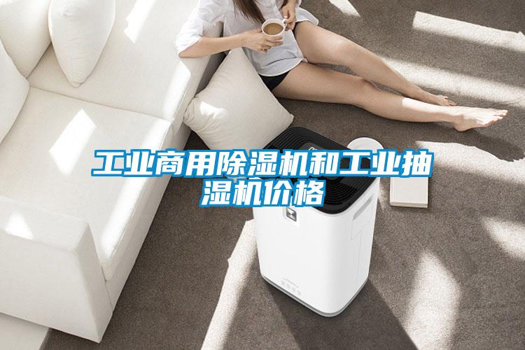 工业商用香蕉福利视频机和工业抽湿机价格