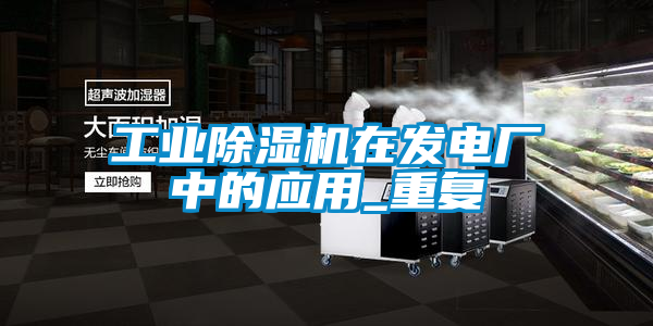 工业香蕉福利视频机在发电厂中的应用_重复