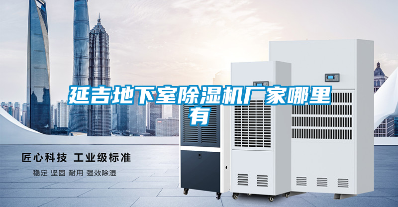 延吉地下室香蕉福利视频机厂家哪里有
