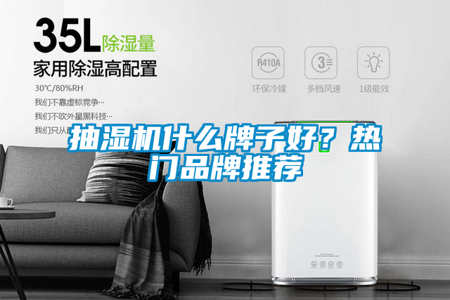 抽湿机什么牌子好？热门品牌推荐