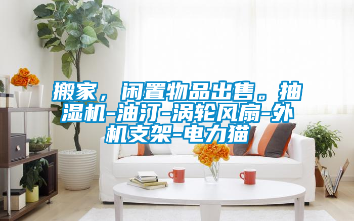 搬家，闲置物品出售。抽湿机-油汀-涡轮风扇-外机支架-电力猫