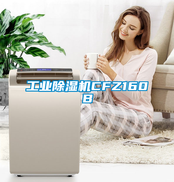 工业香蕉福利视频机CFZ160B