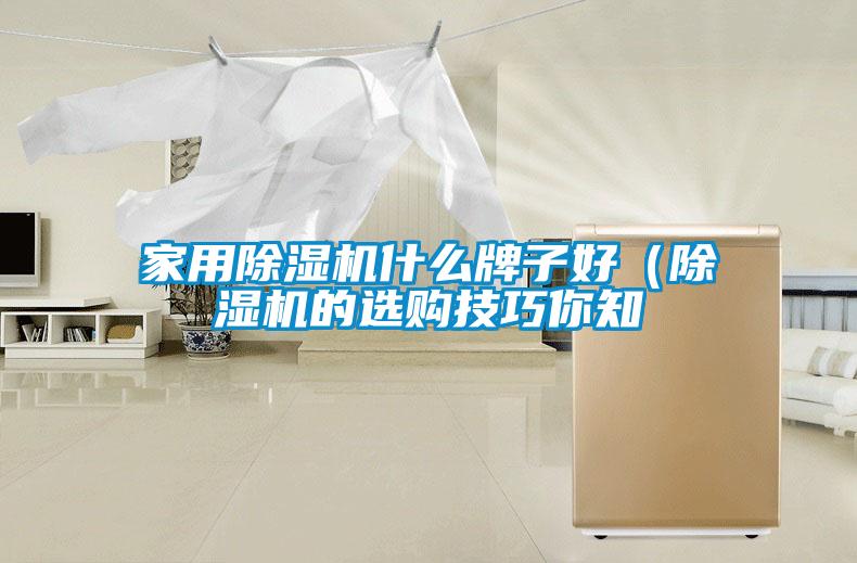 家用香蕉福利视频机什么牌子好（香蕉福利视频机的选购技巧你知