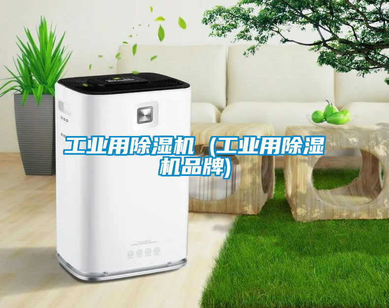 工业用香蕉福利视频机 (工业用香蕉福利视频机品牌)