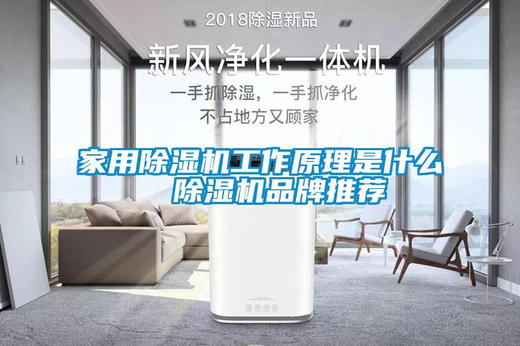 家用香蕉福利视频机工作原理是什么  香蕉福利视频机品牌推荐