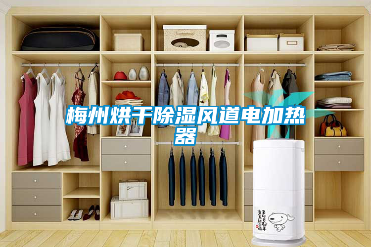 梅州烘干香蕉福利视频风道电加热器