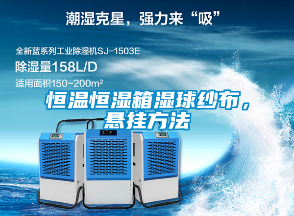 恒温恒湿箱湿球纱布，悬挂方法
