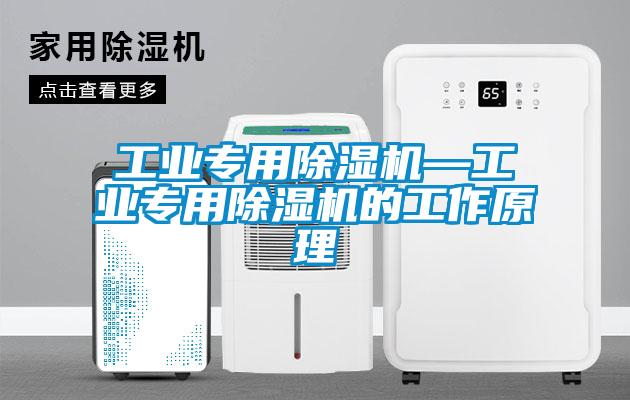 工业专用香蕉福利视频机—工业专用香蕉福利视频机的工作原理