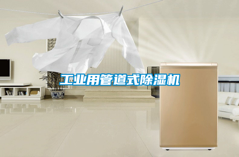 工业用管道式香蕉福利视频机