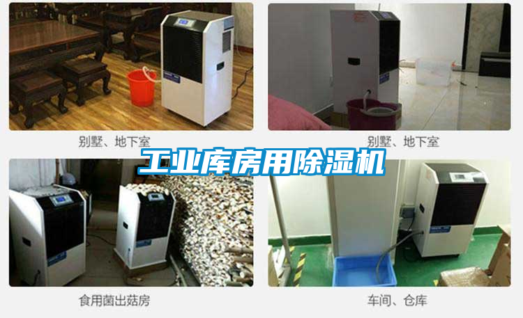 工业库房用香蕉福利视频机