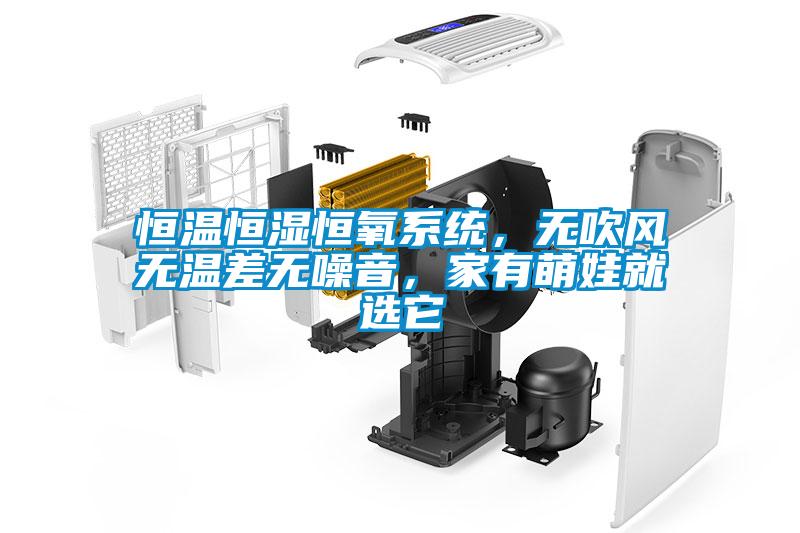 恒温恒湿恒氧系统，无吹风无温差无噪音，家有萌娃就选它
