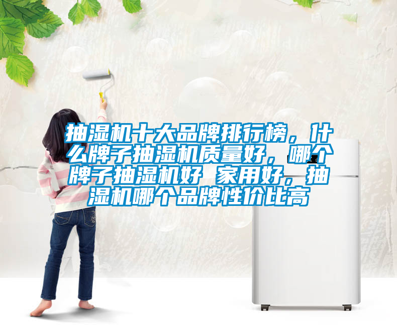 抽湿机十大品牌排行榜，什么牌子抽湿机质量好，哪个牌子抽湿机好 家用好，抽湿机哪个品牌性价比高