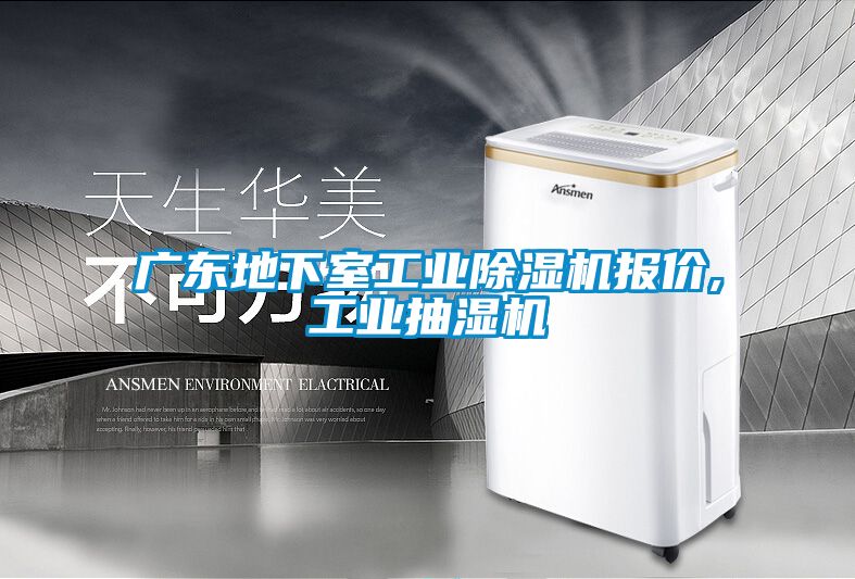 广东地下室工业香蕉福利视频机报价,工业抽湿机