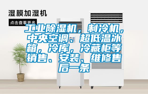 工业香蕉福利视频机，制冷机，中央空调、超低温冰箱，冷库，冷藏柜等销售、安装、维修售后一条