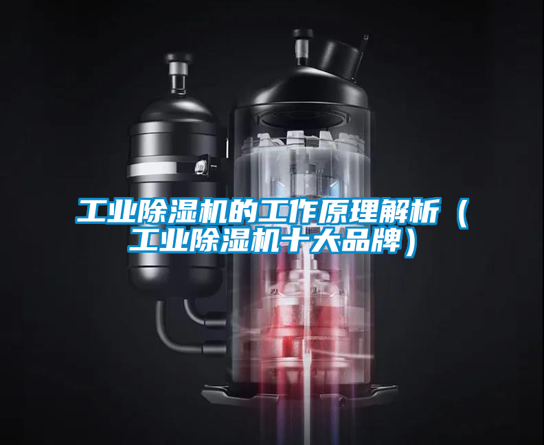工业香蕉福利视频机的工作原理解析（工业香蕉福利视频机十大品牌）