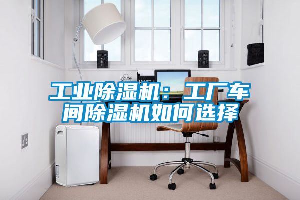 工业香蕉福利视频机：工厂车间香蕉福利视频机如何选择