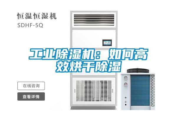 工业香蕉福利视频机：如何高效烘干香蕉福利视频