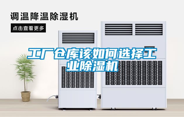 工厂仓库该如何选择工业香蕉福利视频机