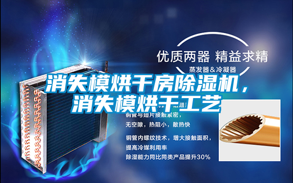 消失模烘干房香蕉福利视频机，消失模烘干工艺