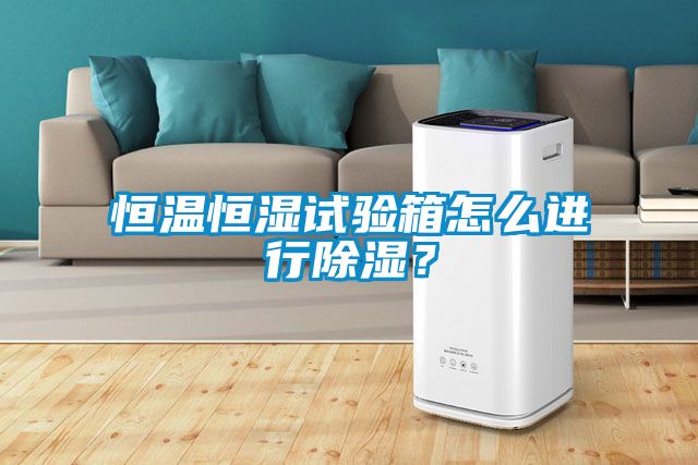 恒温恒湿试验箱怎么进行香蕉福利视频？