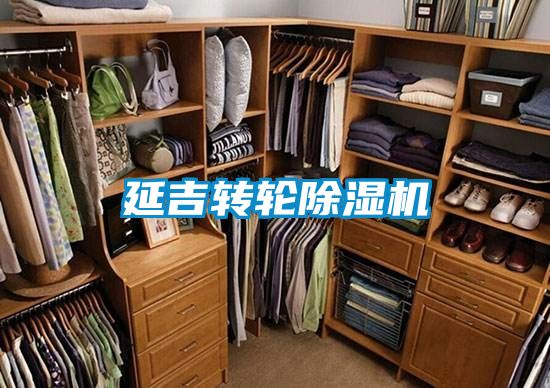 延吉转轮香蕉福利视频机