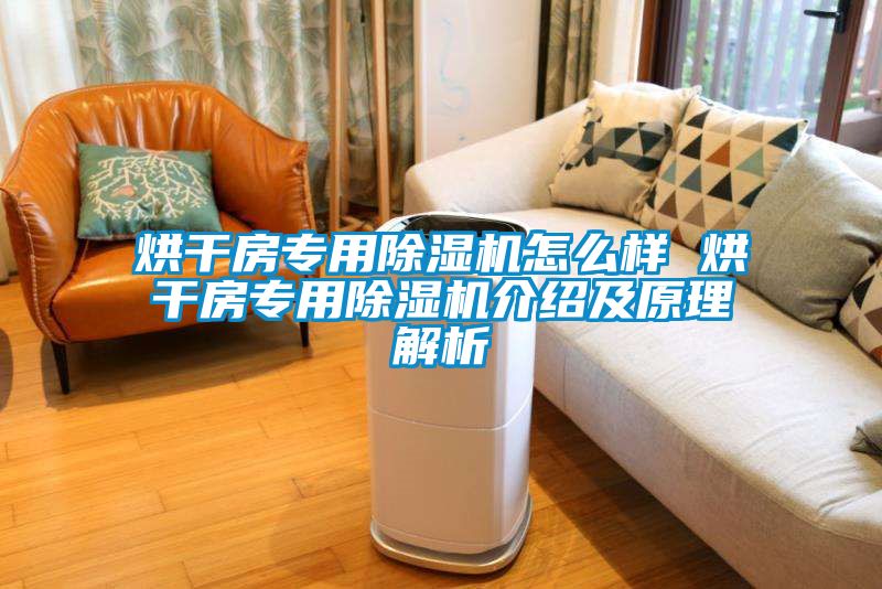 烘干房专用香蕉福利视频机怎么样 烘干房专用香蕉福利视频机介绍及原理解析