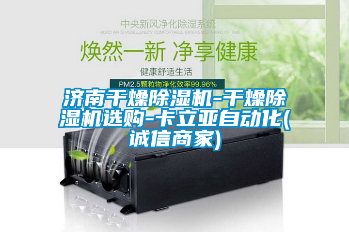济南干燥香蕉福利视频机-干燥香蕉福利视频机选购-卡立亚自动化(诚信商家)