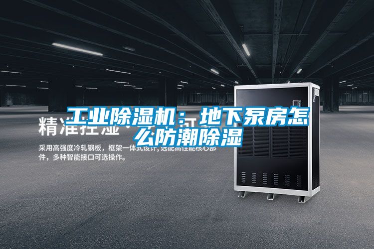 工业香蕉福利视频机：地下泵房怎么防潮香蕉福利视频