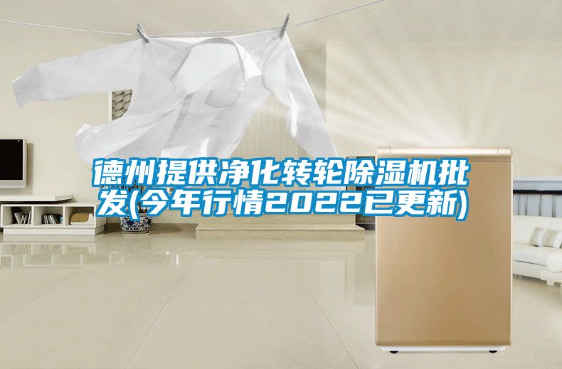 德州提供净化转轮香蕉福利视频机批发(今年行情2022已更新)