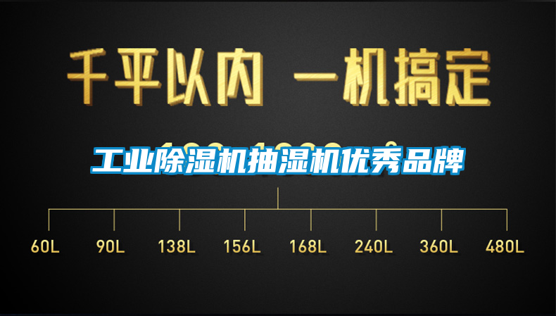 工业香蕉福利视频机抽湿机优秀品牌