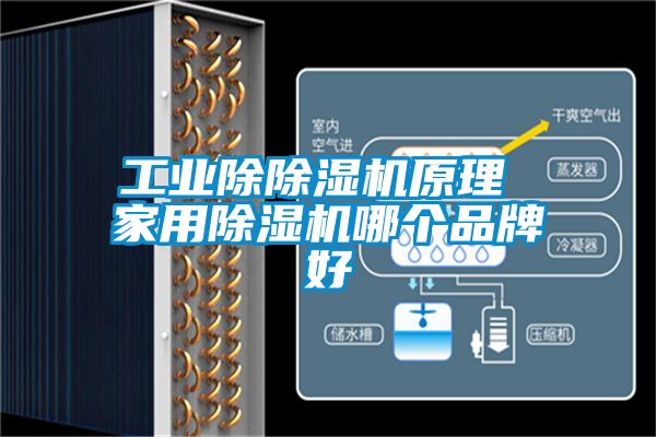 工业除香蕉福利视频机原理 家用香蕉福利视频机哪个品牌好