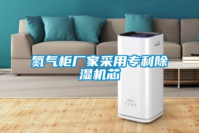 氮气柜厂家采用专利香蕉福利视频机芯