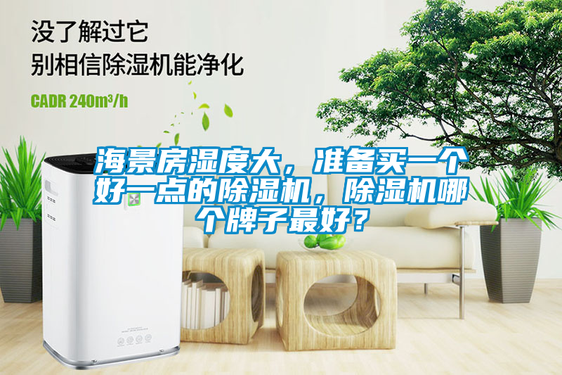 海景房湿度大，准备买一个好一点的香蕉福利视频机，香蕉福利视频机哪个牌子最好？