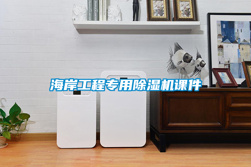 海岸工程专用香蕉福利视频机课件