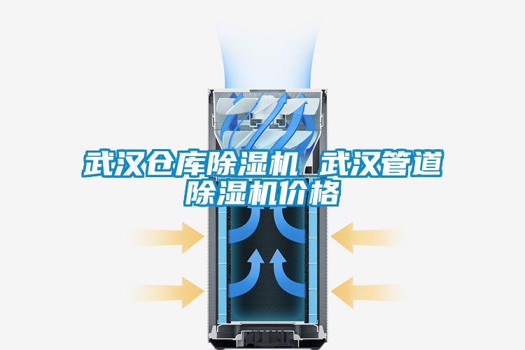 武汉仓库香蕉福利视频机 武汉管道香蕉福利视频机价格