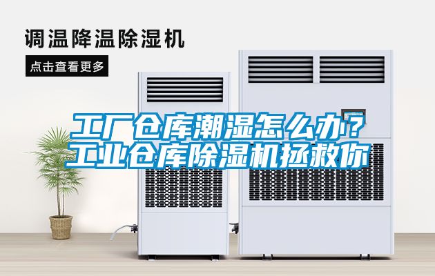 工厂仓库潮湿怎么办？工业仓库香蕉福利视频机拯救你