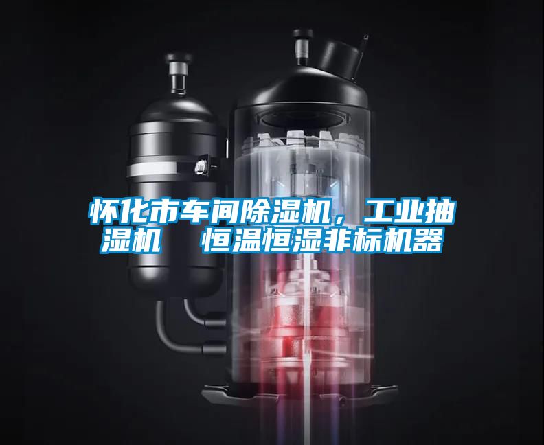 怀化市车间香蕉福利视频机，工业抽湿机  恒温恒湿非标机器