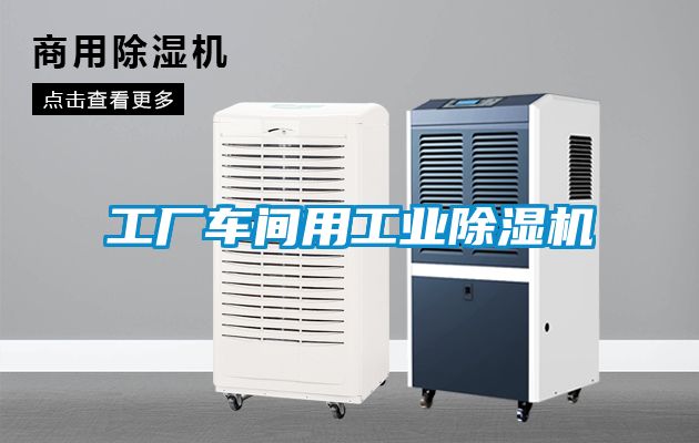 工厂车间用工业香蕉福利视频机