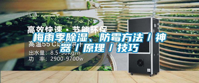 梅雨季香蕉福利视频、防霉方法／神器／原理／技巧