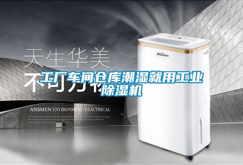 工厂车间仓库潮湿就用工业香蕉福利视频机